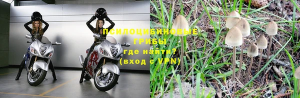 шишки Абинск