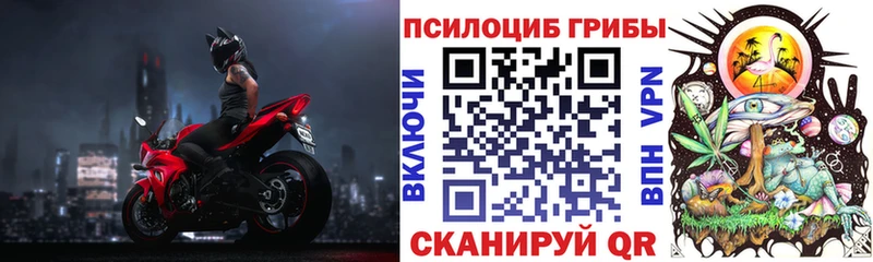 Галлюциногенные грибы Cubensis  сайты даркнета телеграм  Сокол 